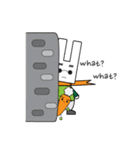Technical Rabbit and Technical Carrot（個別スタンプ：13）