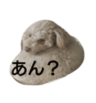 ままっこうめこ（個別スタンプ：4）