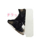 ララララ（個別スタンプ：1）