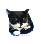 ララララ（個別スタンプ：2）