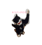 ララララ（個別スタンプ：6）