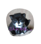 ララララ（個別スタンプ：8）