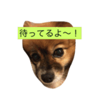 りえなの日常会話（個別スタンプ：4）