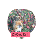 りえなの日常会話（個別スタンプ：6）