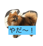 りえなの日常会話（個別スタンプ：7）