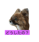りえなの日常会話（個別スタンプ：11）