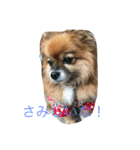 りえなの日常会話（個別スタンプ：15）