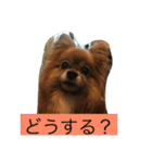 りえなの日常会話（個別スタンプ：16）