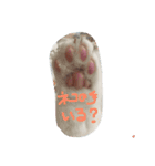 我が家のチョコ＆ミルク（個別スタンプ：8）