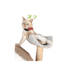 ~猫耳 モフ子~（個別スタンプ：6）