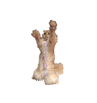 ~猫耳 モフ子~（個別スタンプ：11）