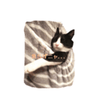 ~猫耳 モフ子~（個別スタンプ：19）