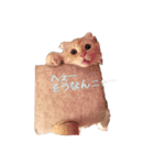 ~猫耳 モフ子~（個別スタンプ：26）