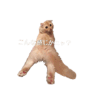 ~猫耳 モフ子~（個別スタンプ：27）
