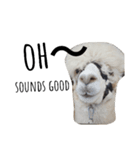 farm animals（個別スタンプ：1）