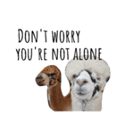 farm animals（個別スタンプ：8）