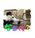 うる（個別スタンプ：4）