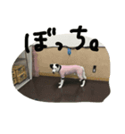 うる（個別スタンプ：5）