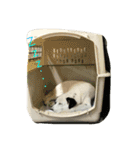 うる（個別スタンプ：6）