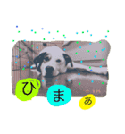 うる（個別スタンプ：9）