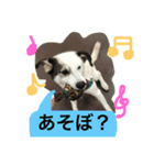 うる（個別スタンプ：11）