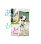 うる（個別スタンプ：13）