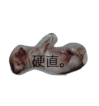 ころん時々ちあき（個別スタンプ：14）