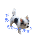 世界で一番かわいい！（個別スタンプ：6）