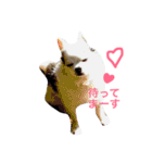 世界で一番かわいい！（個別スタンプ：8）