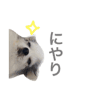 世界で一番かわいい！（個別スタンプ：14）