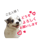 世界で一番かわいい！（個別スタンプ：16）