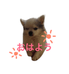 世界で一番かわいい！（個別スタンプ：19）