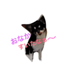 世界で一番かわいい！（個別スタンプ：24）