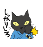 黒猫武士（個別スタンプ：31）