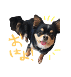 レンとチナちゃん（個別スタンプ：2）