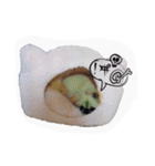 sisimaru  da！  wan（個別スタンプ：4）