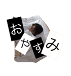 ビリーメンバーのスタンプです！（個別スタンプ：4）