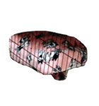 ワンコたち（個別スタンプ：8）