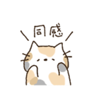 ふんわり三毛猫。*（個別スタンプ：35）