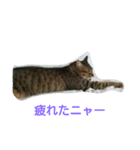 可愛い天のスタンプ（個別スタンプ：8）