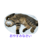 可愛い天のスタンプ（個別スタンプ：12）