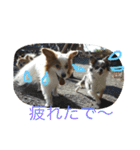 かわいこちゃんパート2（個別スタンプ：12）