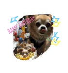 かわいこちゃんパート2（個別スタンプ：16）