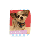 かわいこちゃんパート2（個別スタンプ：24）