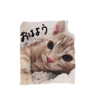 けんしろうとこじろう（個別スタンプ：5）