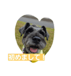 黒シュナ Ricky（個別スタンプ：2）