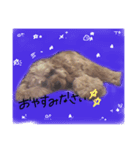 ほたぽん（個別スタンプ：3）