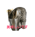リンとフク2（個別スタンプ：13）