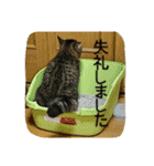 リンとフク2（個別スタンプ：16）