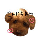 てぃおちゃん（個別スタンプ：1）